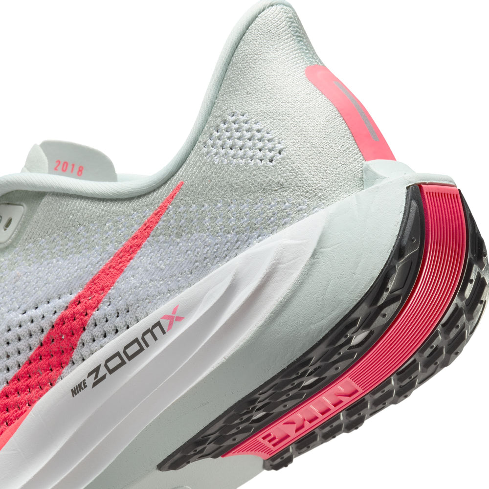 Pegasus zoomx online